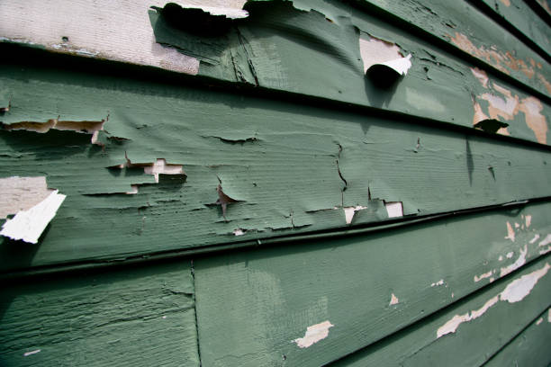 Best Same-Day Junk Removal Services  in Buckner, KY