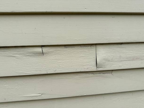 Best Shed Removal  in Buckner, KY